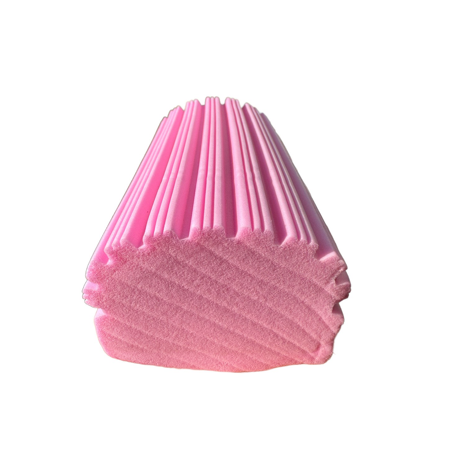 Snatch & Rinse Duster Sponge